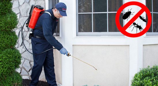 Çanakçı Hamam Böceği İlaçlama böcek ilaçlama ve haşere kontrolü — ilaclama-tr.com